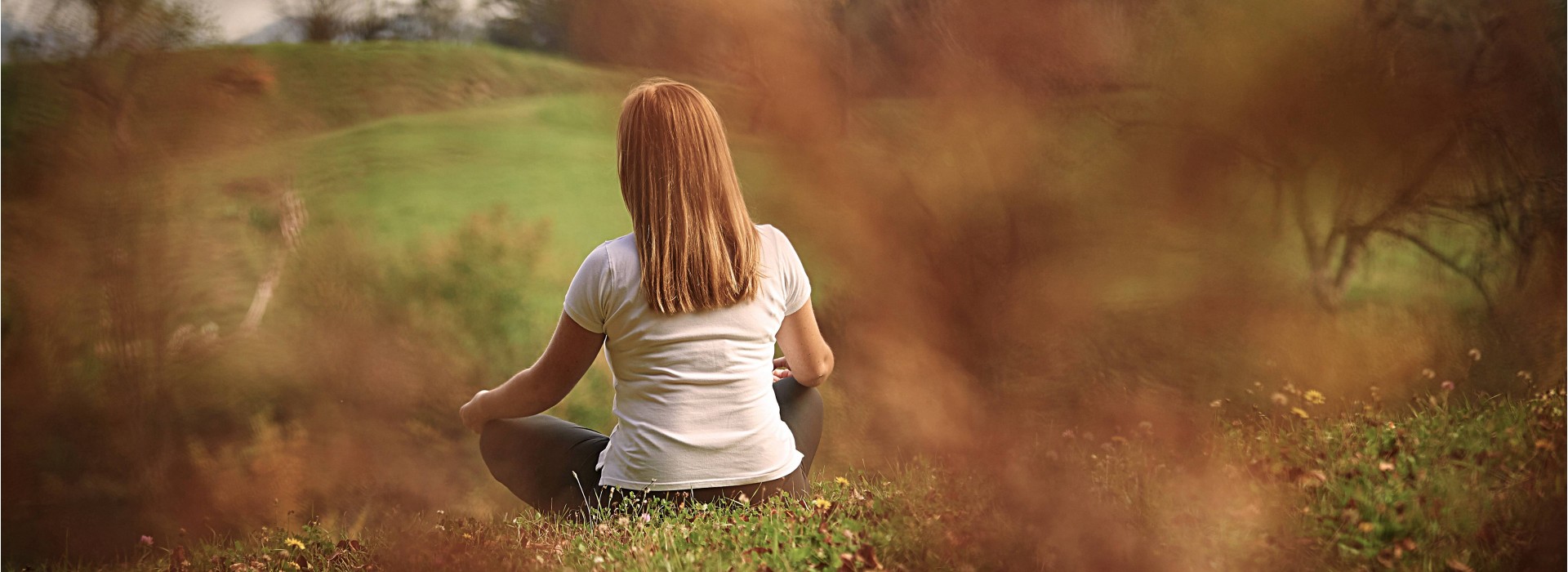 Forest Experience with Meditation