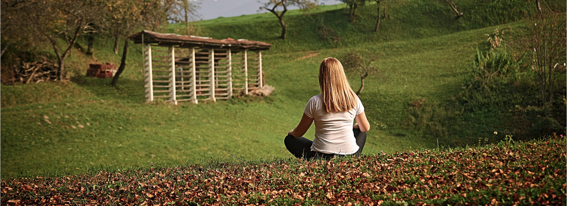 Forest Experience with Meditation
