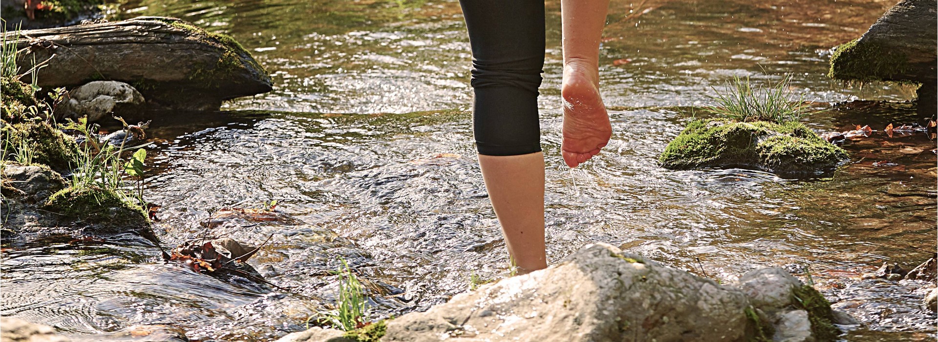 Forest Experience with Meditation