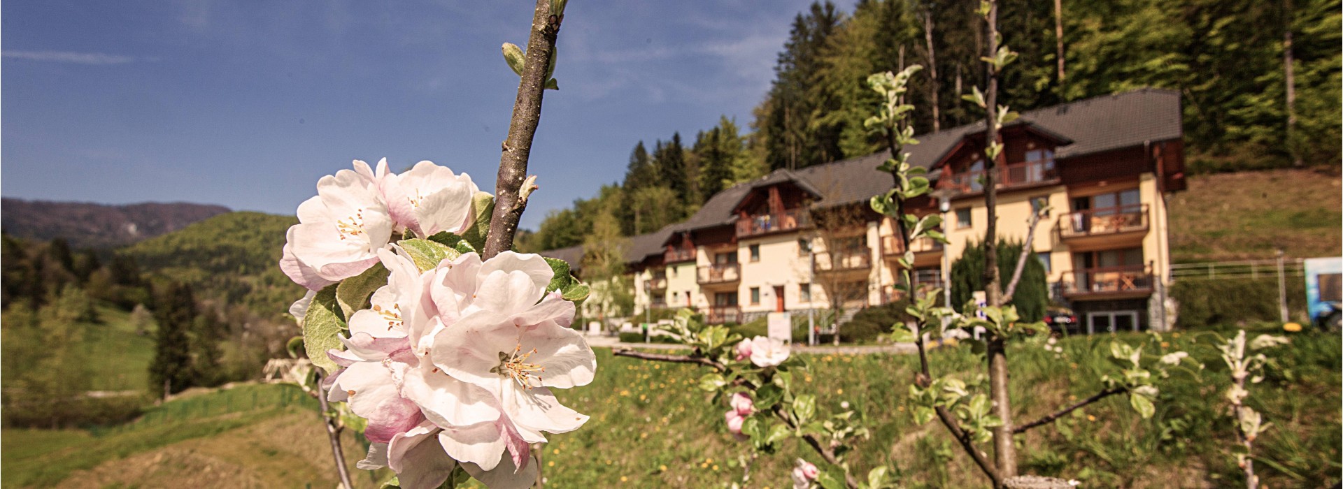 Najem apartmaja v Termah Snovik