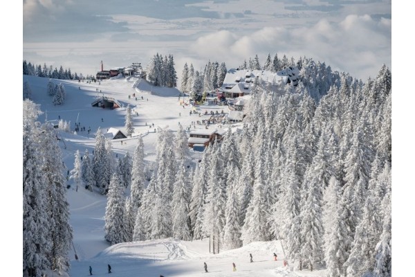 WINTER WELLNESS RETREAT 