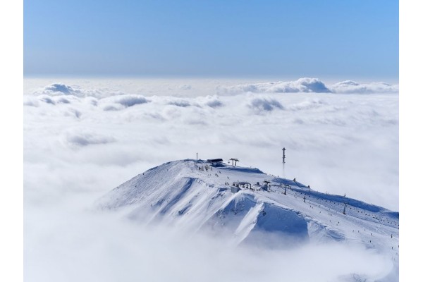 WINTER WELLNESS RETREAT 