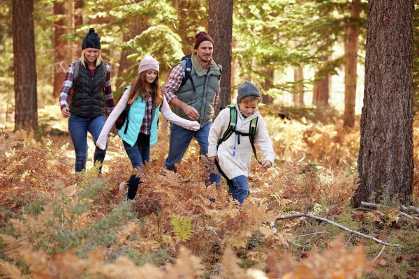 Colourful Autumn in Terme Snovik