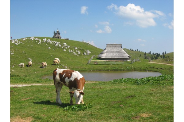 Terme Snovik unter Velika planina