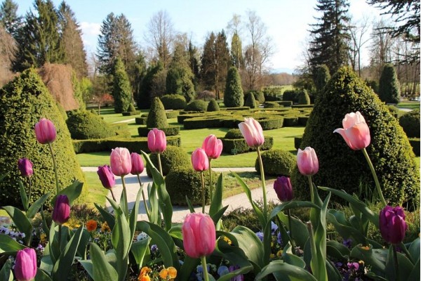 Terme Snovik in Blumen von Arboretum