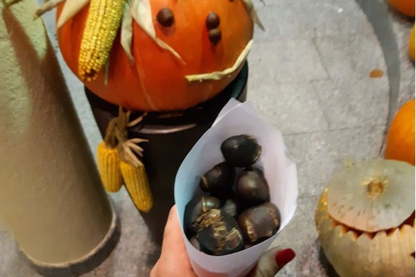 HALLOWEEN FAMILIEN PAKET