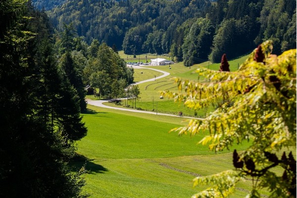 Kneippovo bosonogo doživetje