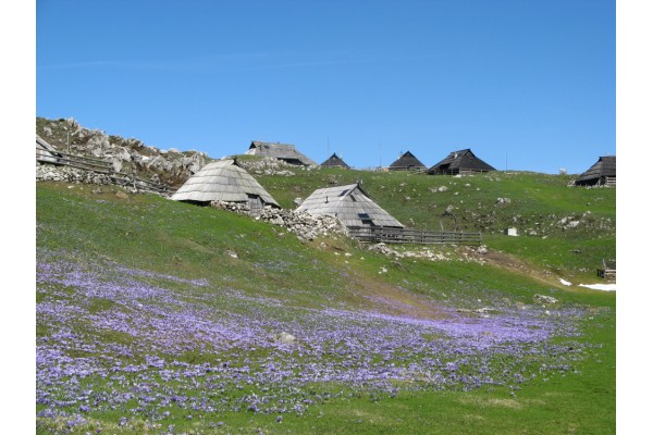 Terme Snovik under Velika Planina 