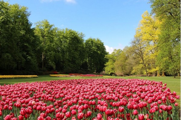 Termalni oddih z obiskom Arboretuma